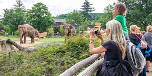 Aller au zoo de Prague si vous voyager à Prague avec des enfants