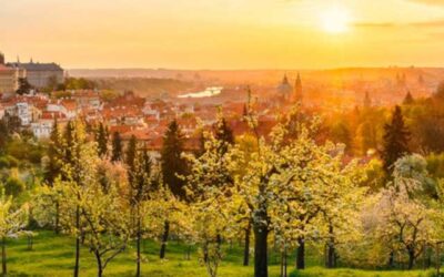 Les meilleurs parcs de Prague (et espaces verts) : 15 endroits sympathiques